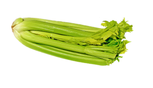 roast chicken recipes